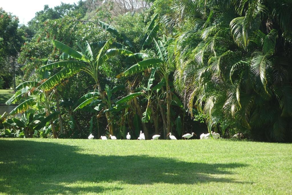 Ferienhaus Great Family With A New Sparkling Pool,lovely View, Close To North Naples